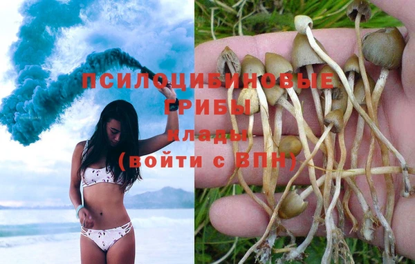 jwh Алексеевка