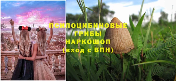 spice Алексин