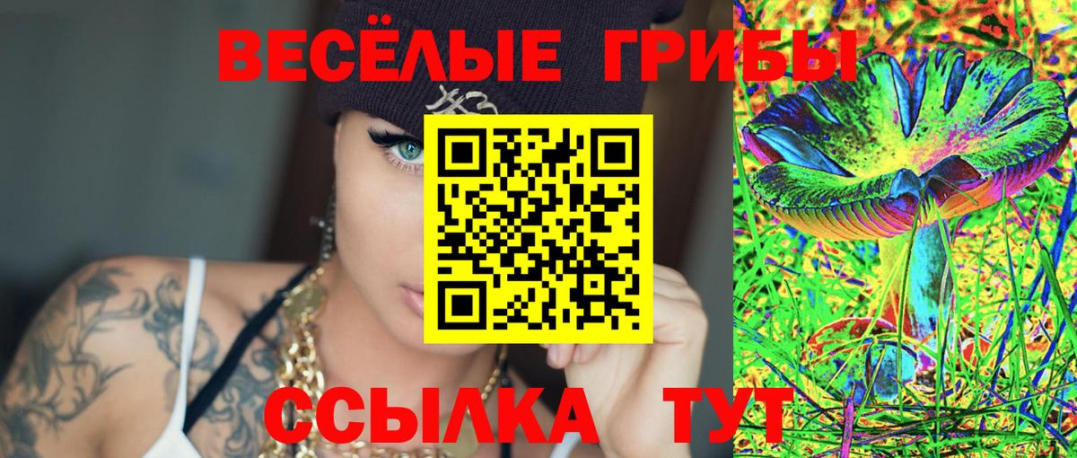 Галлюциногенные грибы GOLDEN TEACHER  закладка  Ленинск-Кузнецкий  Вход с VPN 