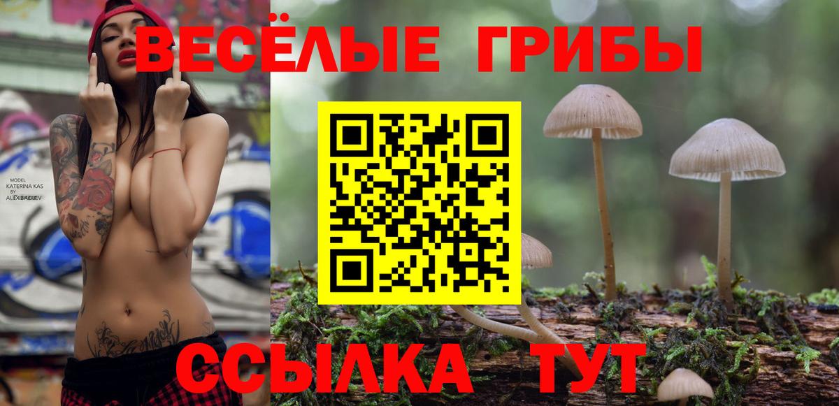 Галлюциногенные грибы Magic Shrooms Ленинск-Кузнецкий